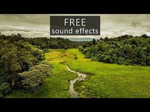4GB of nature and wildlife sound effects from mindful Audio - for free!