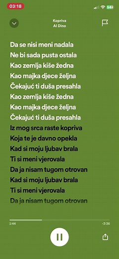 Kopriva-Al Dino: A Musical Journey with Cultural Flair