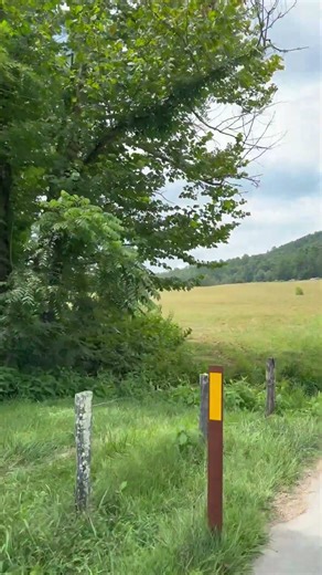 Cades Cove Loop, Great Smokey Mountain National Park Road Trip.