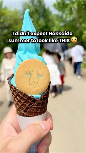 I Didn't Expect Hokkaido Summer to Look Like THIS 😳💙🇯🇵