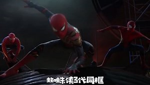 蜘蛛侠3：英雄无归