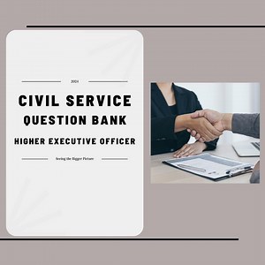 Civil Service Higher Executive Officer Interview Prep | Seeing the Bigger Picture Practice Questions | Sample Answers | Cheat Sheet - Etsy