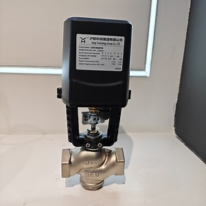 [Hot Item] Dynamic Control Valve DN20-DN65 Electric Balancing Valve Core Structure