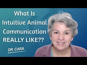 What is Intuitive Animal Communication Like?