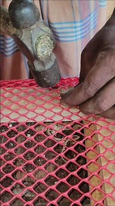 কবুতরের খোপের পাল্লায় নেট লাগানোর সহজ পদ্ধতি DIY Pigeon Cage Net #pigeon#woodworking #youtubeshorts