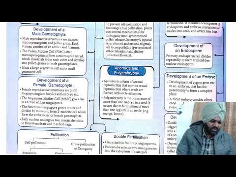 class 12 biology mind map| full revision