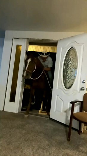 I can honestly say I've never ridden a horse into a house. The dogs are confused. The woman is big mad. The horse is whatever. The cameraman can't stop laughing. The cowboy surely said