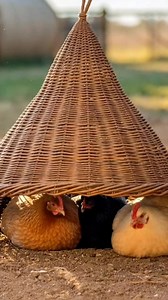 Nice creative ideas 💡 | Click Farm