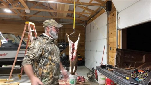 Viewer be advised!!!! Gizmo round two today. After the phone died, I did make a shot. Deer skinning stream. For education and food prep.