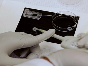 Patch Clamp Recordings from Embryonic Zebrafish Mauthner Cells