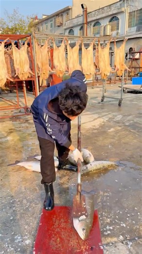 Ultimate Fish Cleaning Hack #satisfying #fish #seafood #lifehacks #foodprep #oddlysatisfying #skills