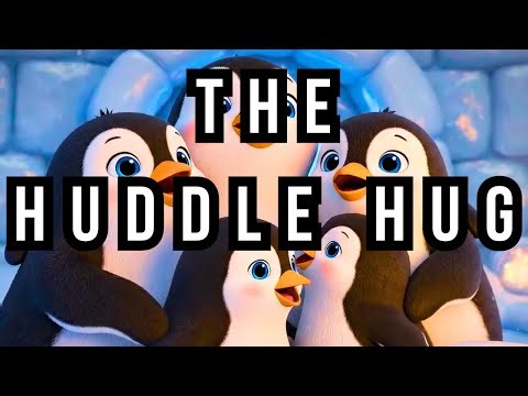 The Huddle Hug! 🐧 Kids Music Video ft. Maracas the Lil Pudgy Penguin
