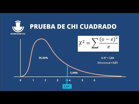 07. Prueba de Chi Cuadrado (X2) | Curso de SPSS 29
