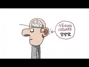 Pourquoi ne faut-il pas écouter la musique trop fort ? - 1 jour, 1 question