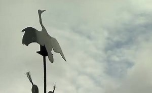 Sorry, we have encountered a problem. - Alexander Street, a ProQuest Company