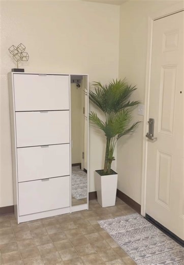 Stylish Shoe Cabinet with Ample Storage