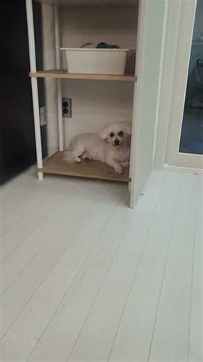 숨은그림찾기Hidden Object Game