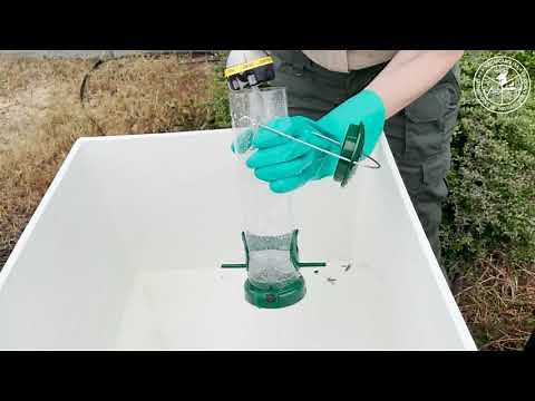 How To: Clean Your Bird Feeder