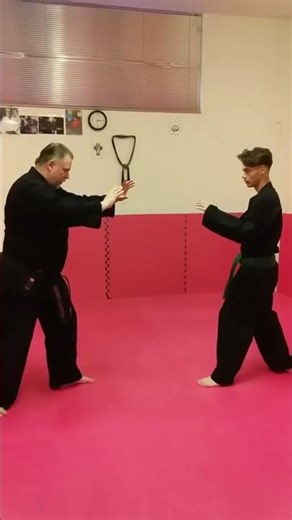 BUDOKAN AREZZO KRAV MAGA & KENPO-AIKIJUTSU M° LUCIO PICCIOLI RESPONSABILE MSP UNIONE ITALIANA KENPO