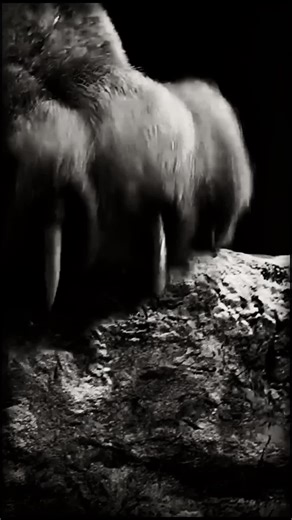 Walk Away: A Time for Change and Motivation