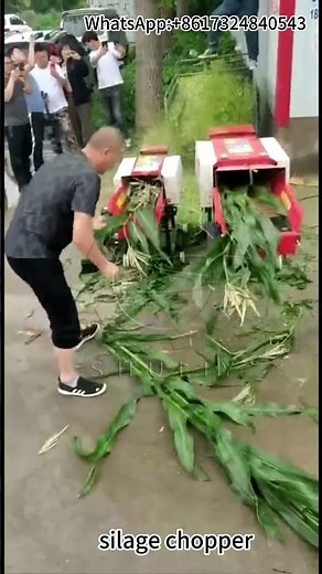 Silage Chopper in Action | Efficient Animal Feed Processing Machine Demonstration
