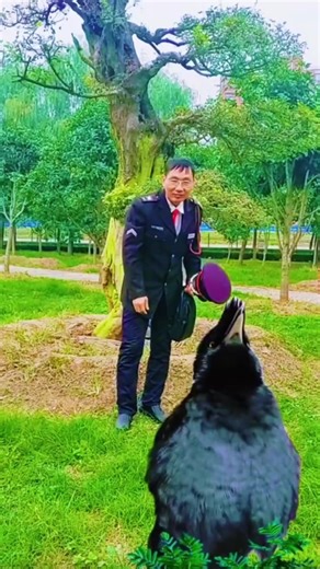 Bird Recites Quran | Amazing Islamic Video