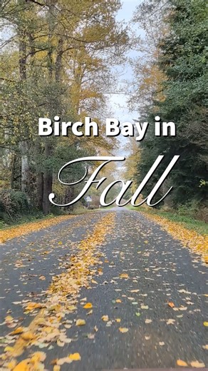 35K views · 987 reactions | Birch Bay in Fall | Birch Bay Chamber of Commerce | Facebook