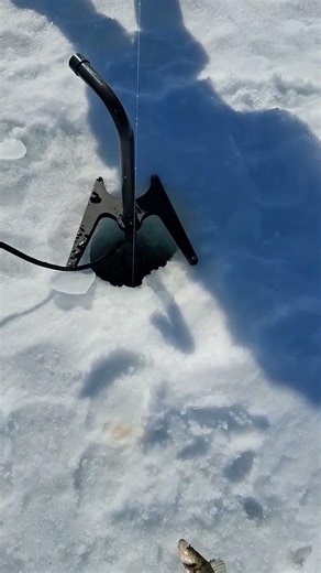 Ice fishing for Perch on lake Superior Munising, Michigan. #lakesuperior #icefishing #perch