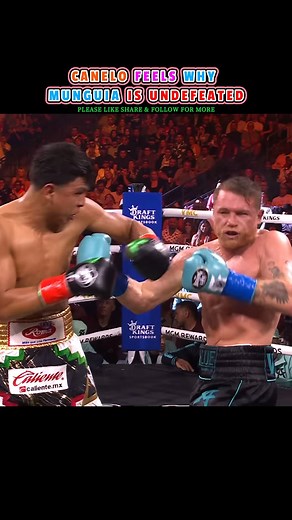 Jaime Munguia vs. Canelo Alvarez During fight week, Canelo Alvarez repeatedly emphasized his distinctiveness and asserted his superiority over his aggressive, undefeated Mexican compatriot Jaime Munguia. Ultimately, he proved himself correct. Alvarez (61-2-2, 39 KOs) defended his undisputed super middleweight title with a masterful yet grueling unanimous decision victory on Saturday, handing Munguia (43-1) his first professional defeat. The 33-year-old Mexican icon secured judges' scores of 117-