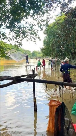Real Life 100% Cast Net Fishing In River At The Countryside (Part 1644) #fishing #fish #new