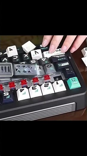 2 in 1 Key Puller Keyboard Action Adjuster Keycap Puller Switch Puller Cleaning T