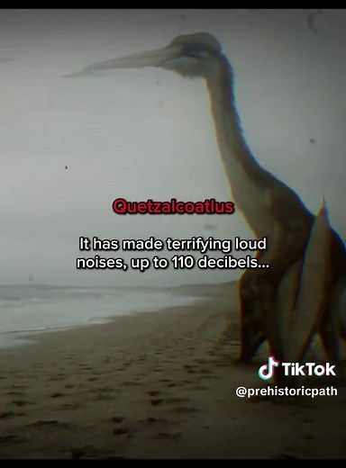 Scientists reconstructed how prehistoric animals actually sounded like... #prehistoric #extinct #extinctanimals #oldearth