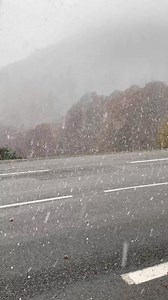 Route de La Mongie Artigues neige à 1250 ❄️❄️📷 Thomas Crampette | Météo Pyrénées