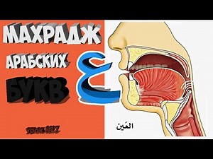 Махрадж Букв Урок №7 буква "ع" и практика