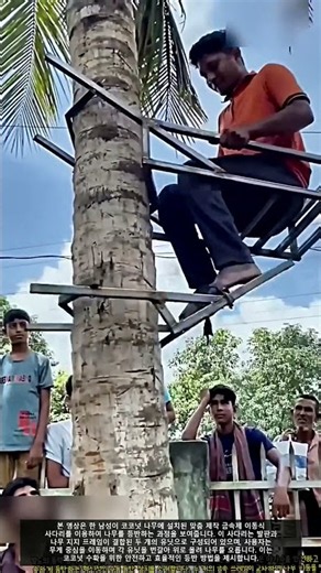 코코넛 나무 손쉽게 오르는 이동식 사다리 #worker #workers