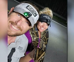 Ein außergewöhnlicher Beruf: Dieses Paar jagt Pythonschlangen