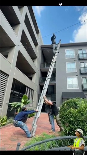 OSHA Approved? 🤔😂 Is This the Safe Way to Use a Ladder?