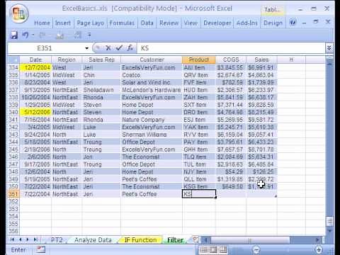 Excel Basics #21: Data Analysis Filter &Dynamic Ranges