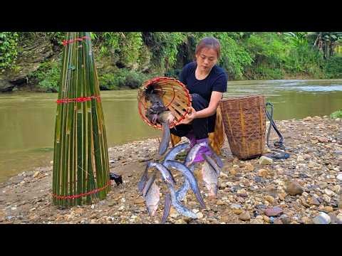 Catching fish in the stream with homemade bamboo baskets, the highland life of single girl Diep.