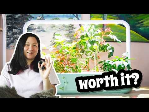 Click & Grow Smart Garden 9 - pod-based gardening, the good, bad and ugly ONE YEAR REVIEW
