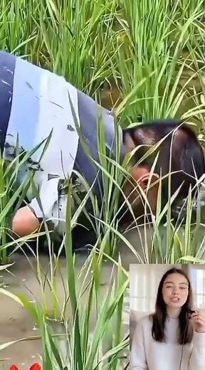 Man Without Hands Teaches the World the True Meaning of Strength 💪❤️ inspirational story, real life hero, motivation, never give up, hardworking man, life lesson, courage and strength, human spirit, motivational video, inspiring people #Motivation #Inspiration #LifeLesson #NeverGiveUp #RealHero #HardWork #PositiveVibes #Courage #HumanSpirit #DailyInspiration #ViralVideo #TrendingNow #MustWatch #IncredibleTalent #Unbelievable #GlobalViral #EpicMoment #SkillChallenge #WowFactor #ViralInUSA #USTre