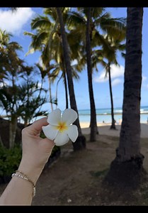 Voyage à Hawaï : notre hostel pas cher et conseils famille
