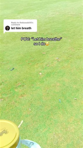 Is It Dead? Exploring Common Misconceptions