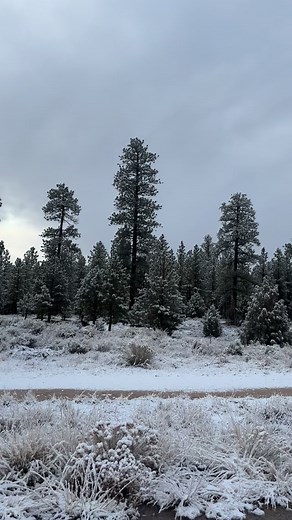 2.7K views · 51 reactions | Winter is here ❄️ | Best Western Plus Ruby's Inn | Facebook