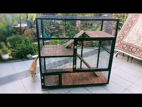 DIY Rumah Kucing Minimalis Dengan Besi | Buat Kandang Kucing Sendiri