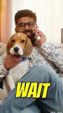 Dog Emergency: Warning Signs You MUST Not Ignore!