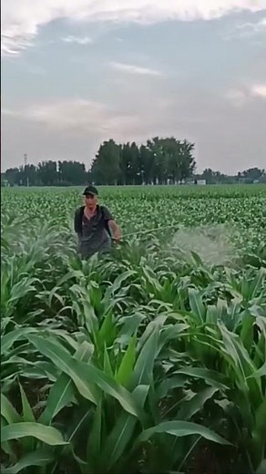 The Plant Spraying Process