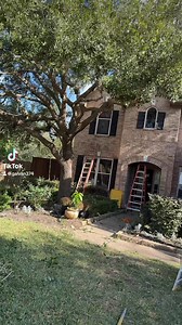 Call us now for your free estimate. | Noe Tree Service and Landscaping