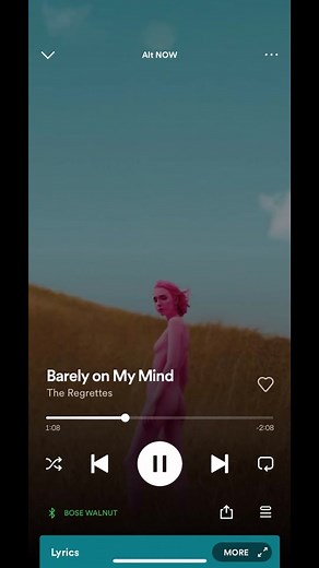 iPod widget now supports Spotify & Apple Music! Will have a full installation tutorial later. #widget #ios16 #spotify #applemusic #homescreen #iPad #aesthetic