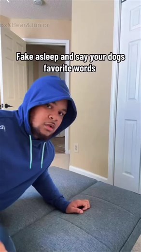 Hilarious Doberman Pranks with a Family Twist